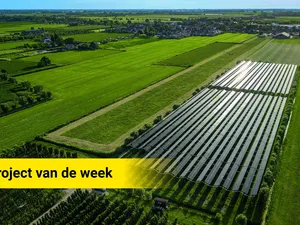 Project van de week | Fruitteler Jan Brouwer beschermt zijn peren tegen hagel en hitte met 4.226 zonnepanelen
